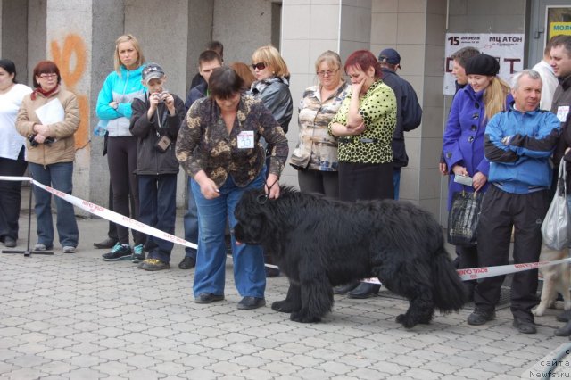 Фотография № 63630