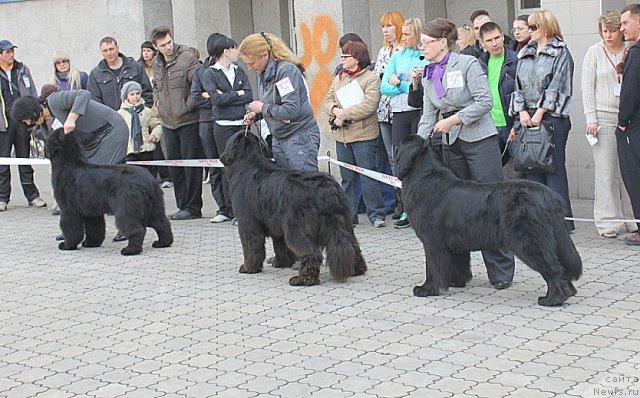 Фотография № 63631