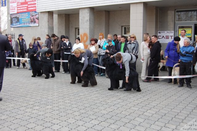 Фотография № 63633