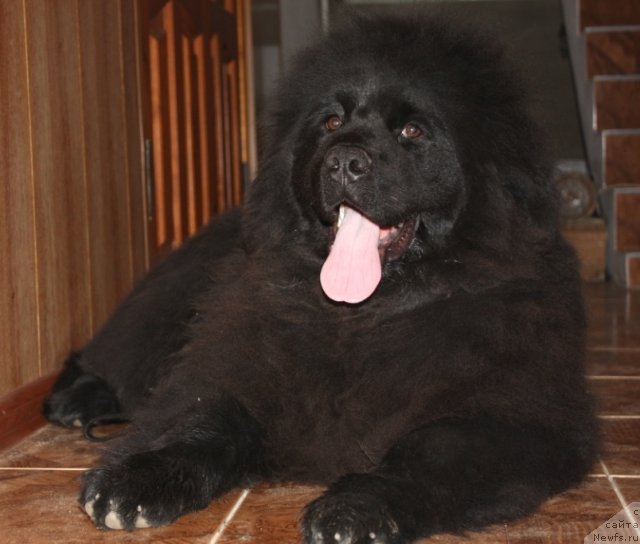 Фотография № 63649