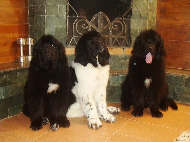 Фотография № 63707