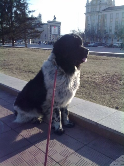 Фотография № 63713