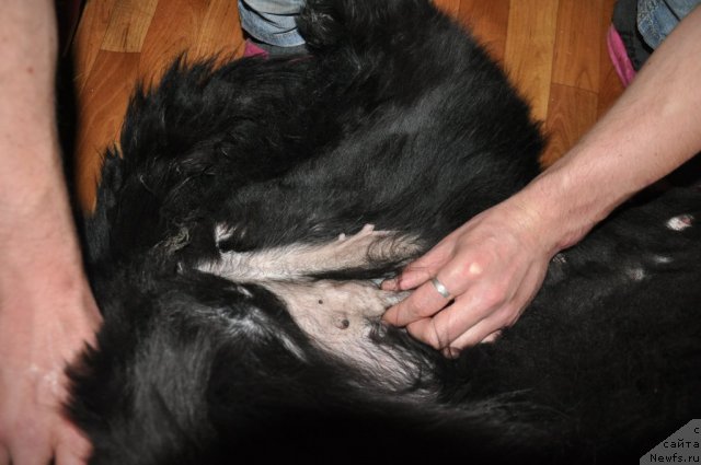 Фотография № 63721