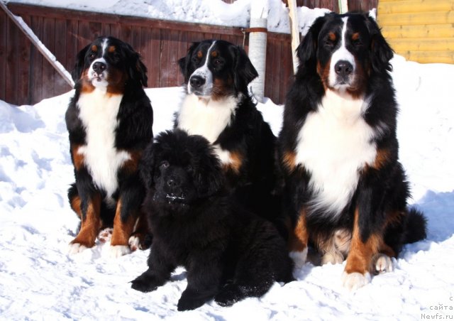 Фотография № 63725