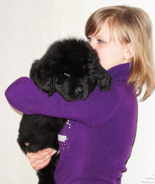 Фото: Бегущая по волнам Диал Ми Ин, Veronika Dobren'kaya (Вероника Добренькая)