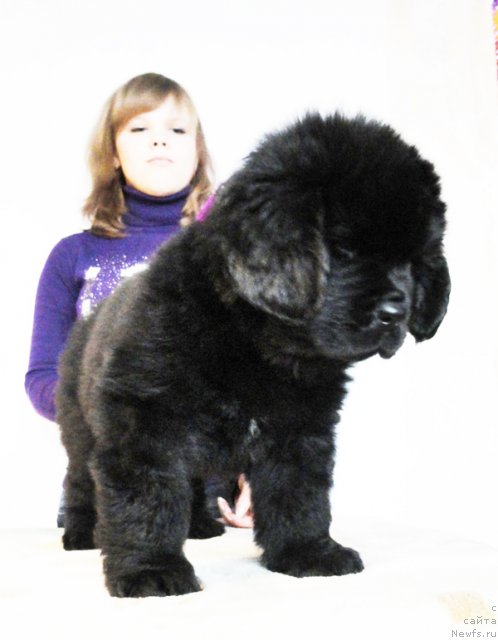 Фото: Бегущая по волнам Диал Ми Ин