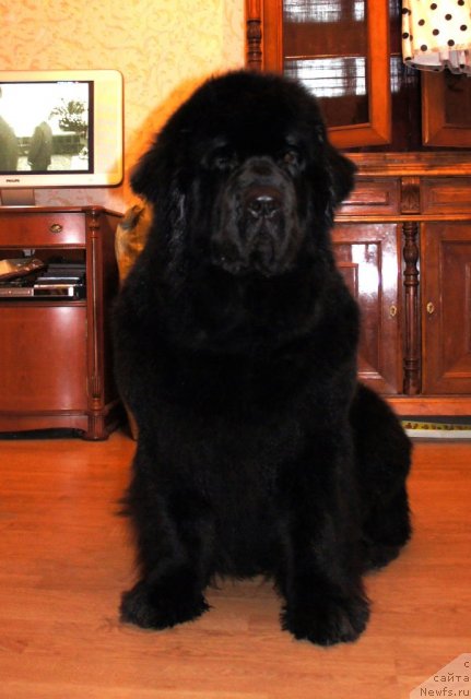 Фотография № 63825