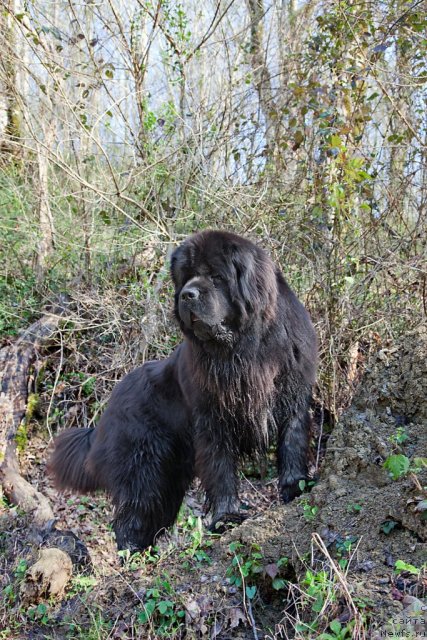 Фотография № 63830