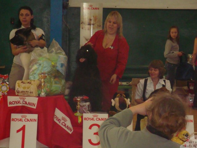 Фотография № 63835