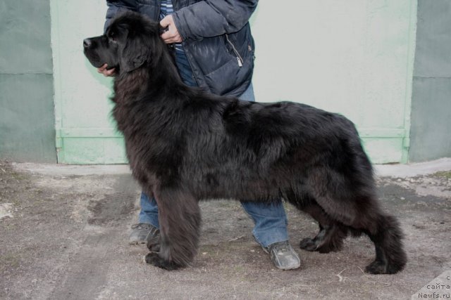 Фотография № 63847