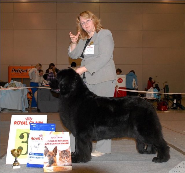 Фотография № 63849