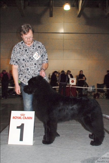 Фотография № 63851