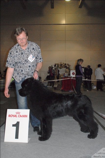 Фотография № 63852