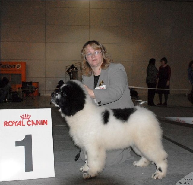 Фотография № 63853