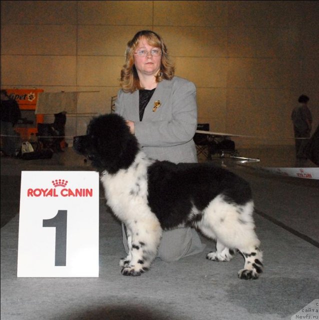 Фотография № 63855