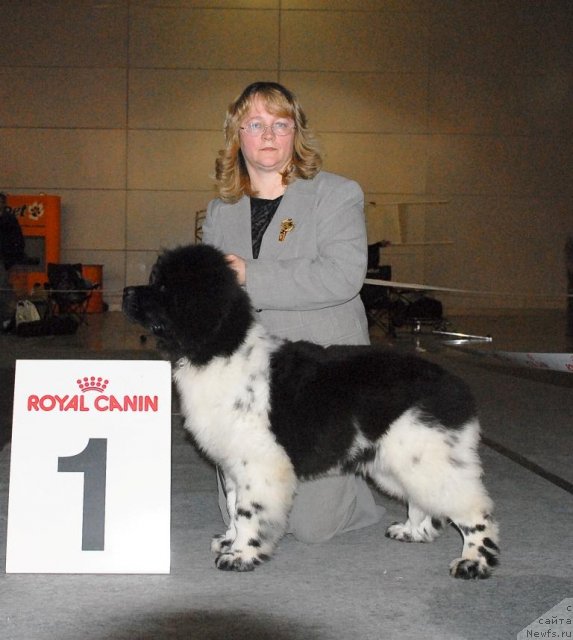 Фотография № 63856