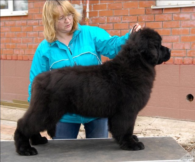 Фотография № 63891