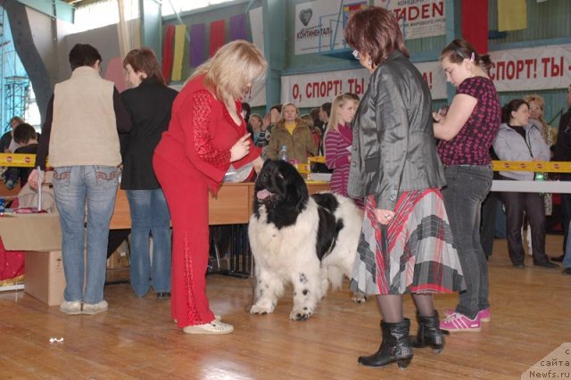 Фотография № 63952