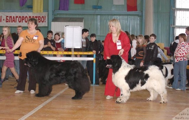 Фотография № 63953