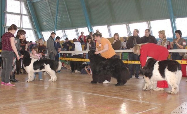 Фотография № 63958