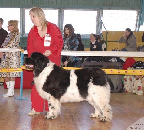 Фотография № 63961