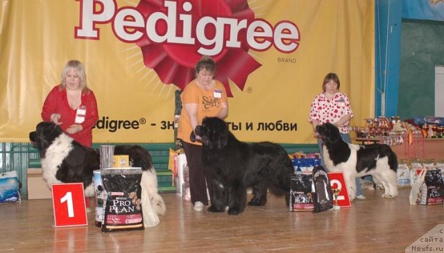 Фотография № 63965