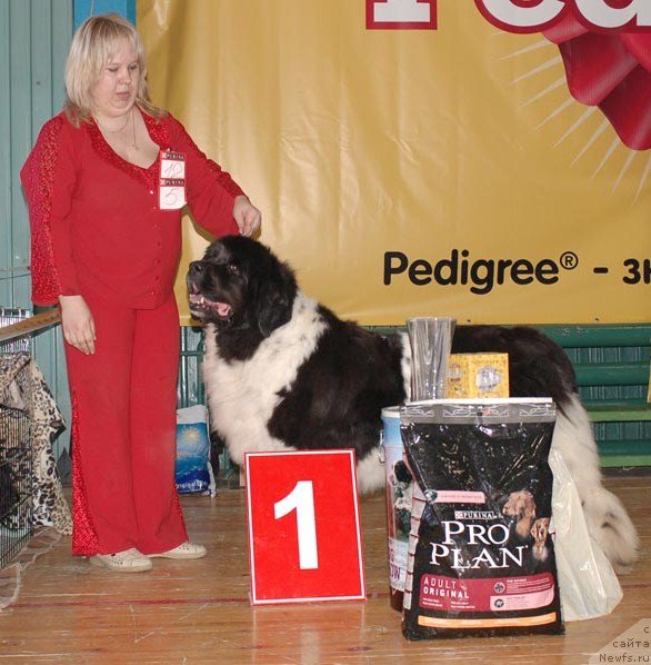 Фотография № 63967