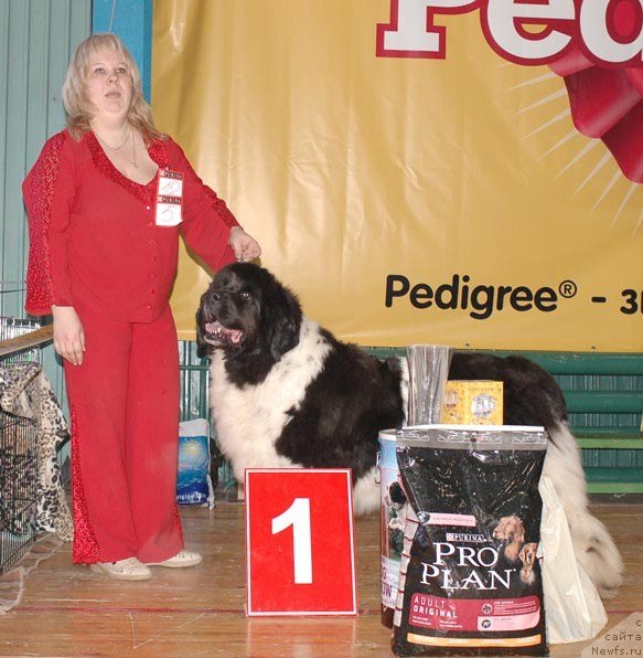 Фотография № 63969