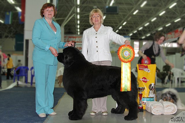 Фотография № 63984