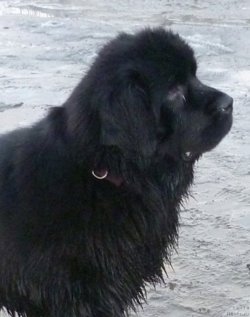 Фотография № 63989