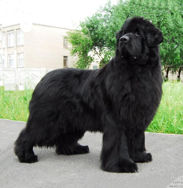 Фотография № 6416