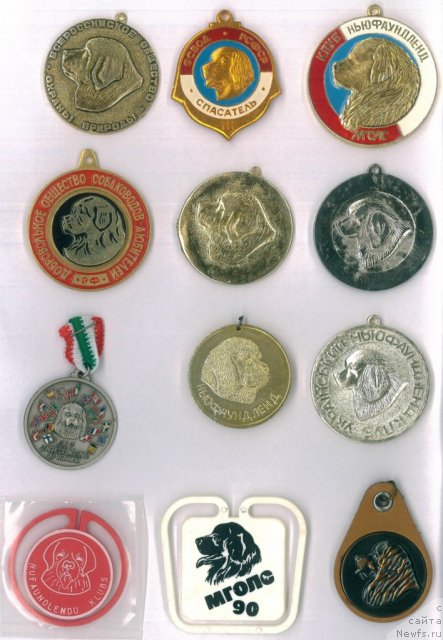 Фотография № 64200