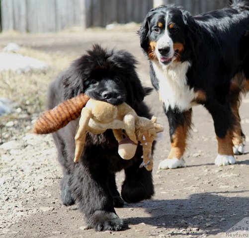 Фотография № 64207