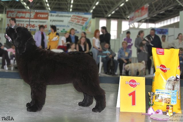 Фотография № 64208