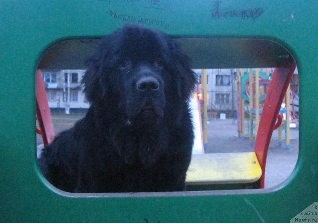 Фотография № 64225