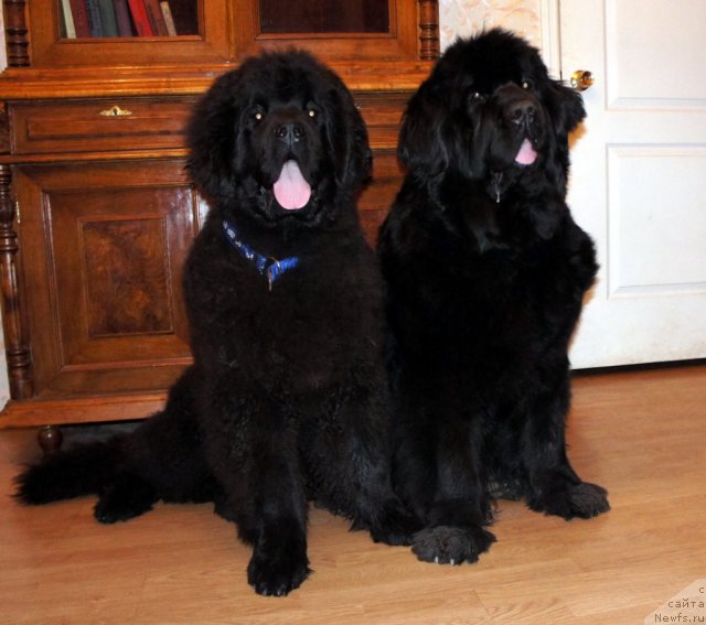 Фотография № 64236