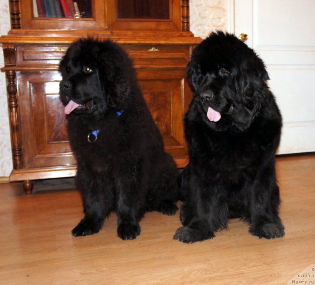 Фотография № 64237