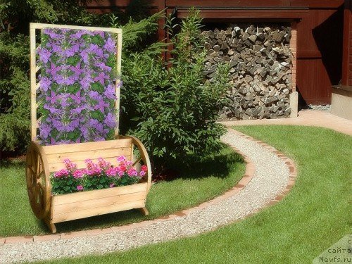 Фотография № 64244