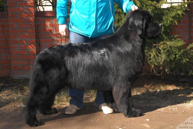 Фотография № 64269