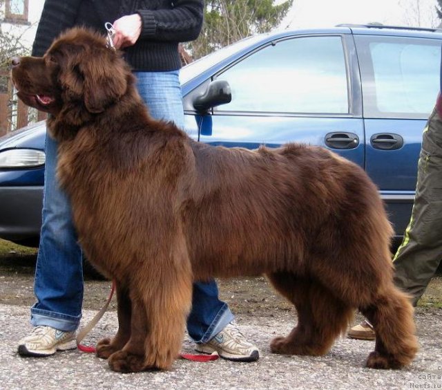 Фотография № 64289