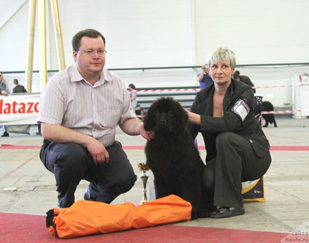 Фотография № 64317