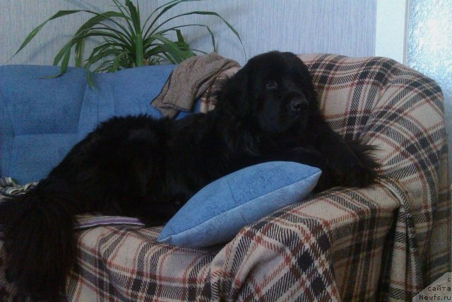 Фото: Ekaterina Ogneva (Екатерина Огнева)