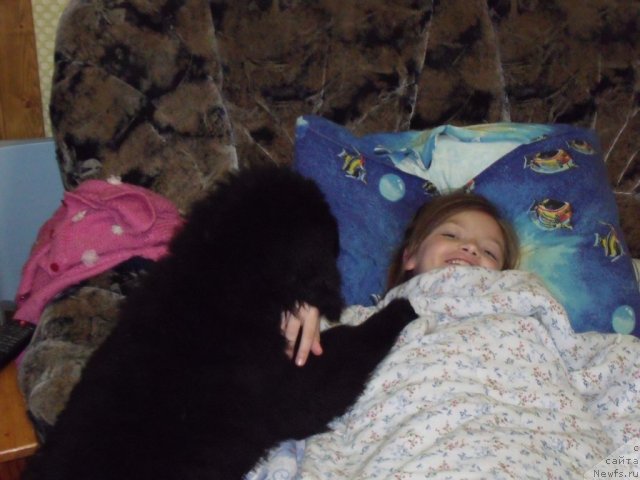 Фото: Желанная Моя