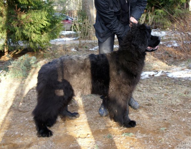 Фотография № 64340