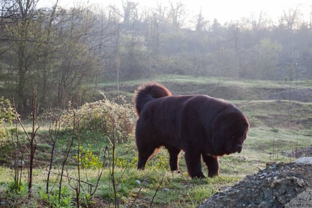 Фотография № 64346