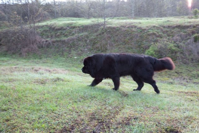 Фотография № 64347