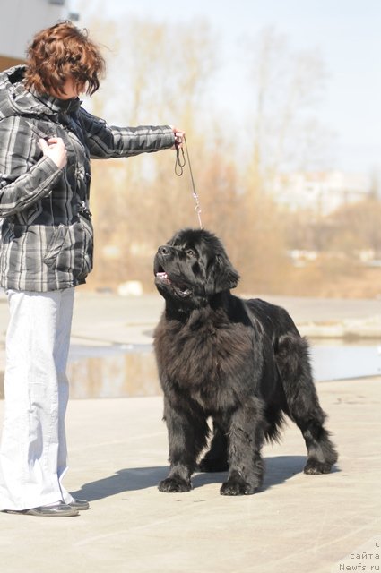 Фотография № 64352