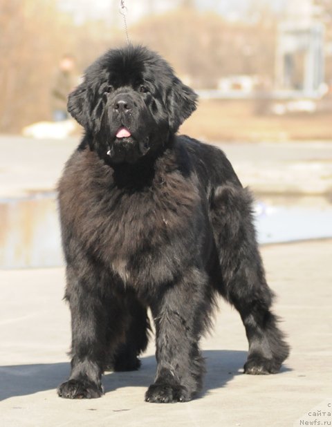 Фотография № 64354