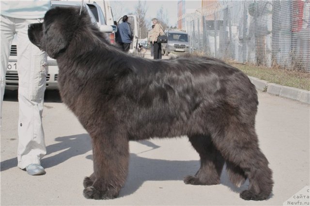 Фотография № 64380