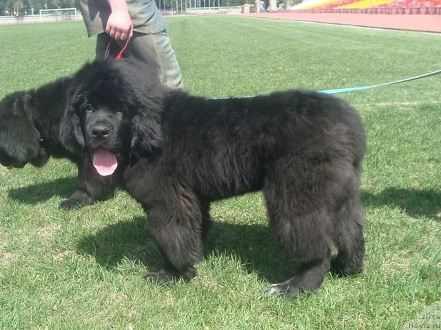 Фотография № 64399